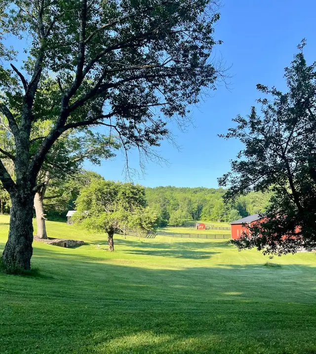 Moonbeam Camper View from Seating Area